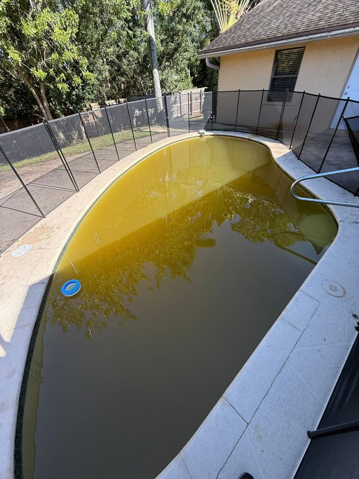 Green, cloudy backyard pool behind a pool safety fence before cleanup